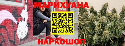 прущие грибы Бердск