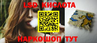 прущие грибы Бердск