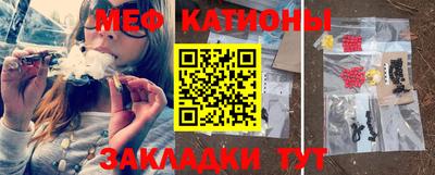 прущие грибы Бердск