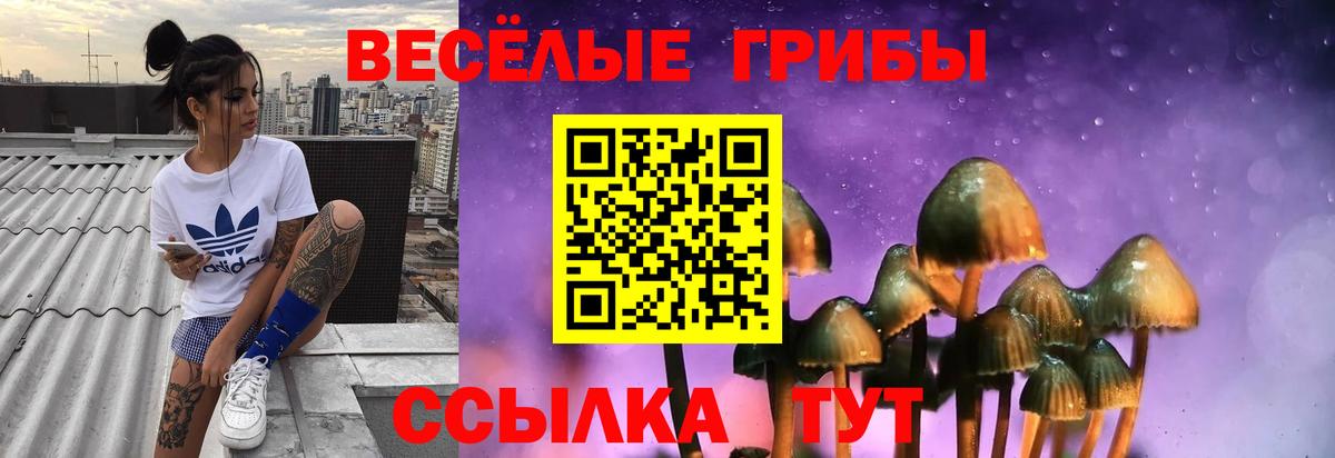 Галлюциногенные грибы мицелий Дзержинск