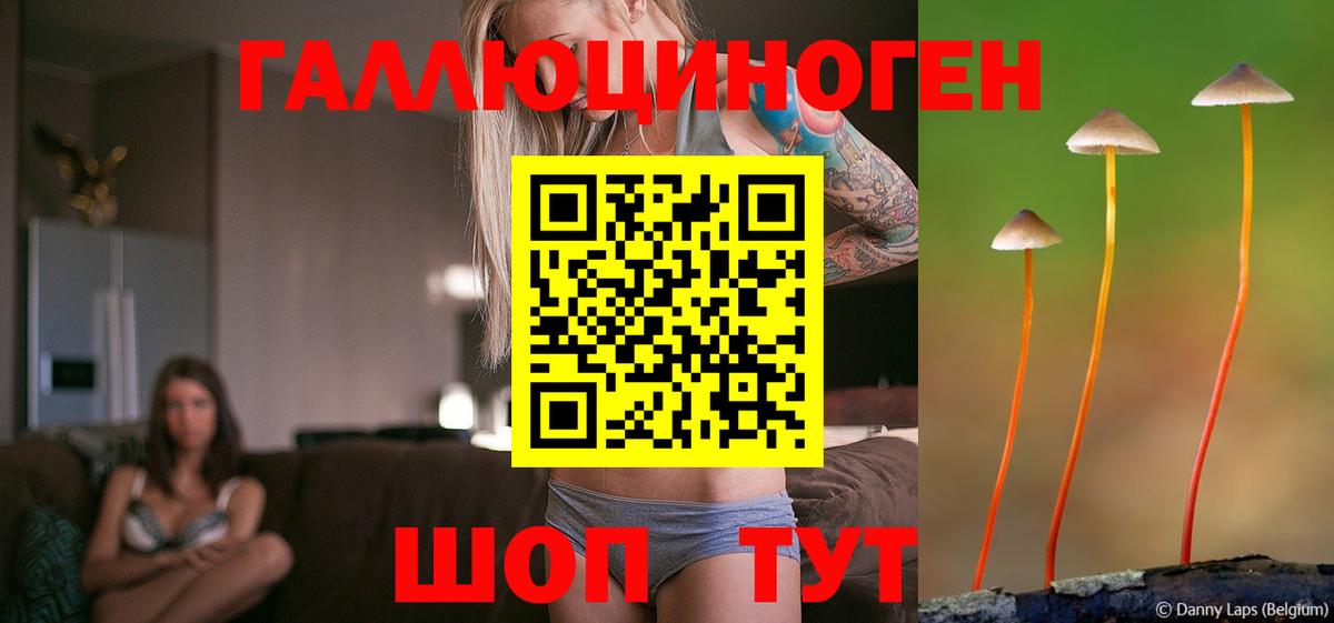 Дзержинск  Псилоцибиновые грибы Magic Shrooms  Вход с VPN 
